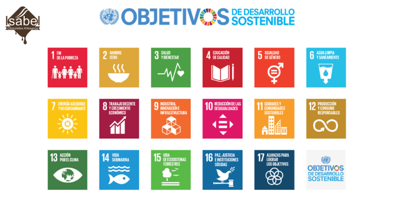 objetivos del milenio ONU