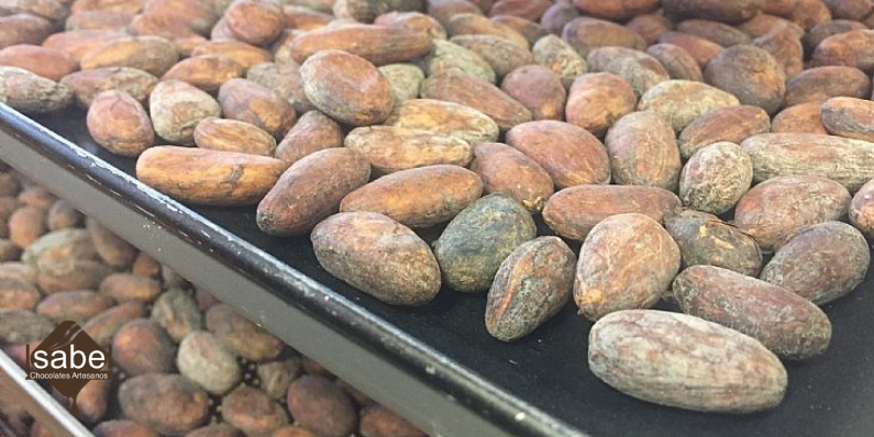 Proceso del tostado del cacao