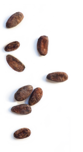 habas_de_cacao.png