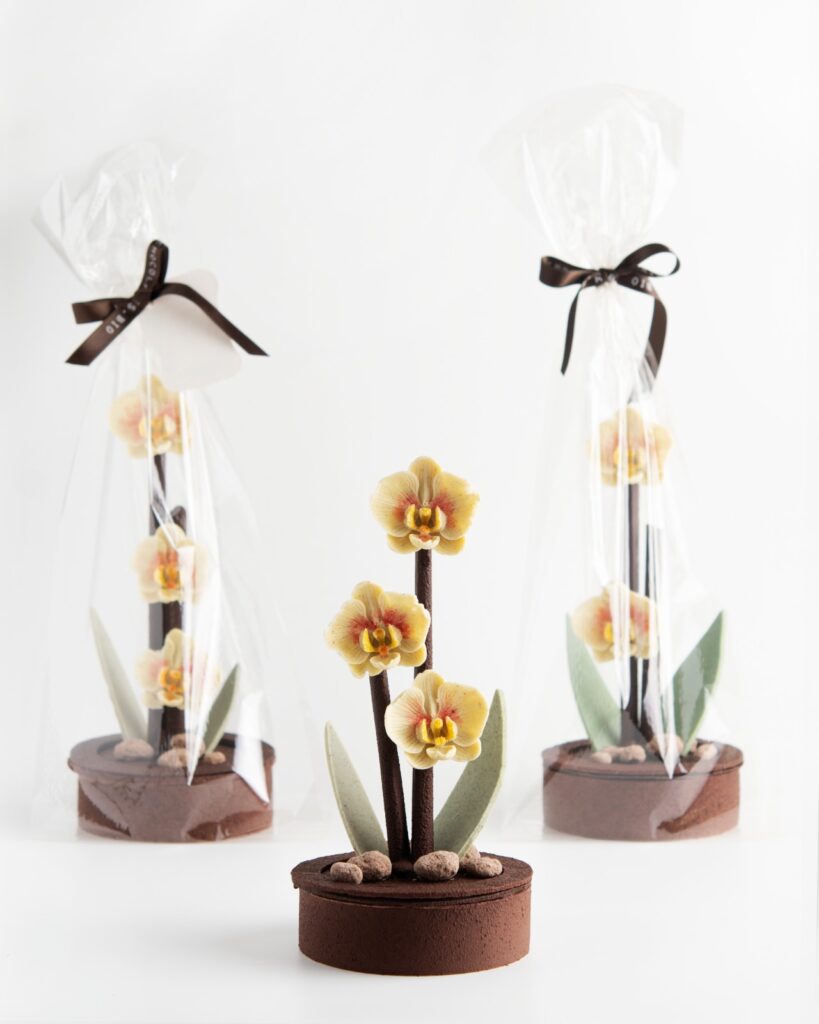 Orquídeas de Chocolate BIO para el Día de la Madre
