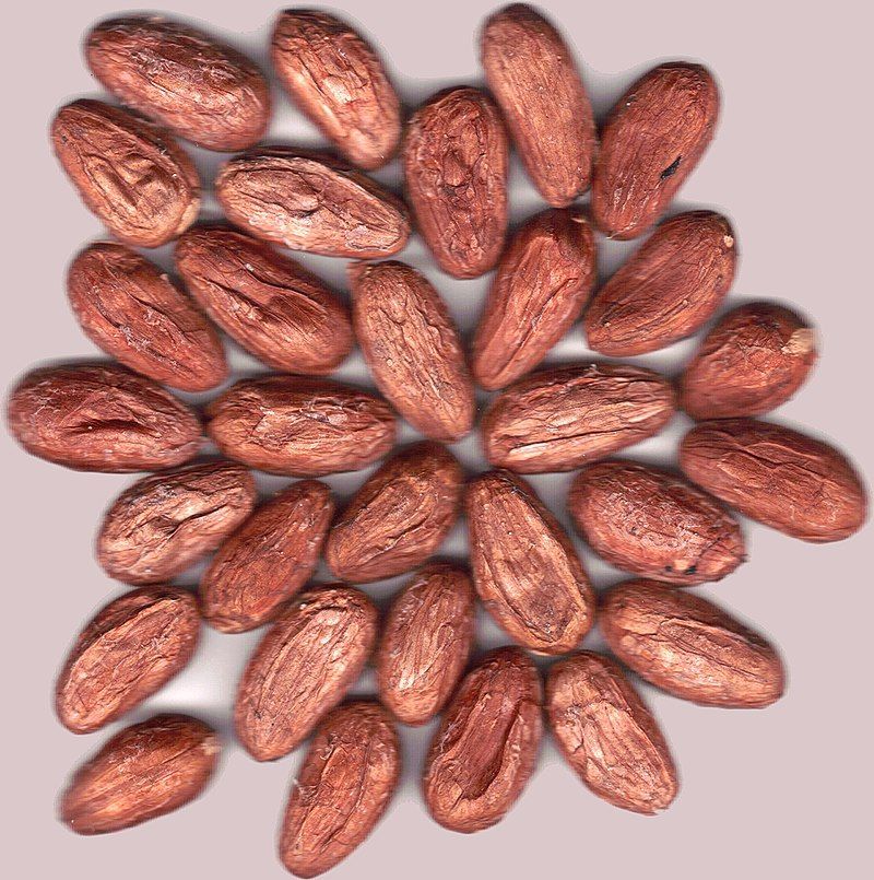 habas de cacao