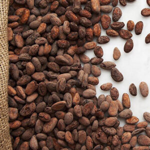Bean to Bar