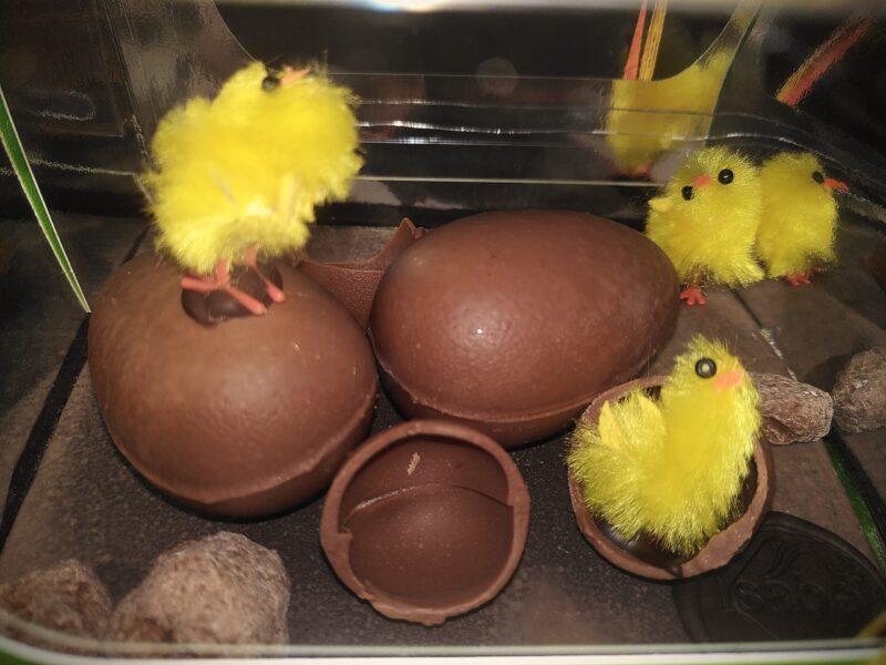 Pollitos. Mona de Pascua de Chocolate BIO