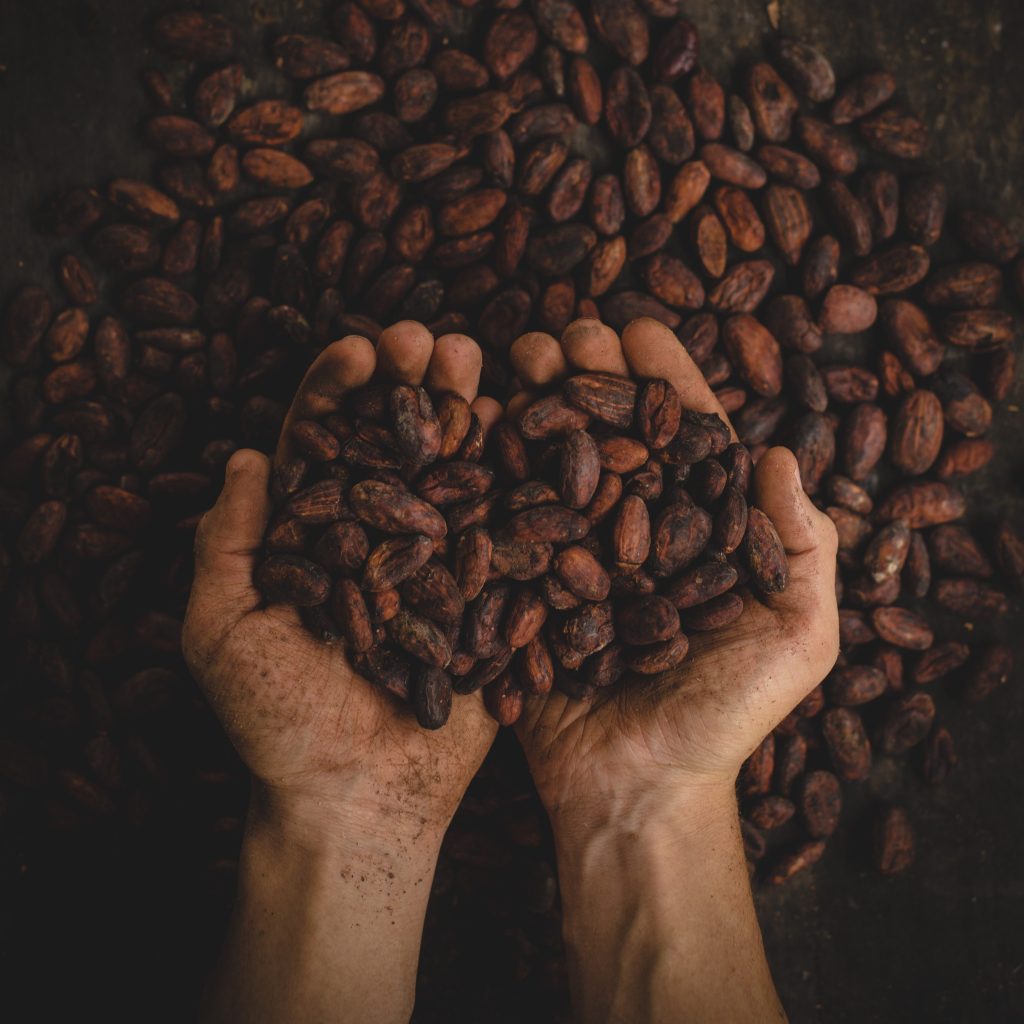 Cacao. Precio 2025